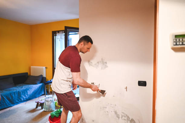 Best Attic Mold Remediation in Madison, IL